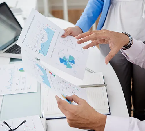 Healthcare Audit Services