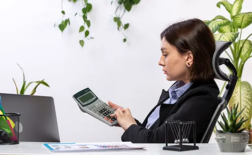 Accounting Services for Idaho