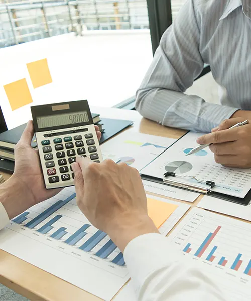 South Dakota Business Tax Planning & Compliance Services for LLCs and Corporations