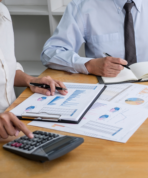 South Dakota Business Tax Planning & Compliance Services for LLCs and Corporations