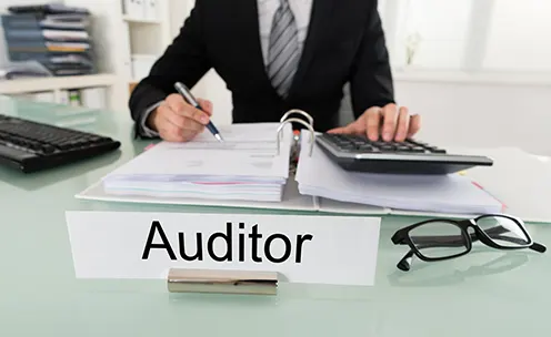 Auditor